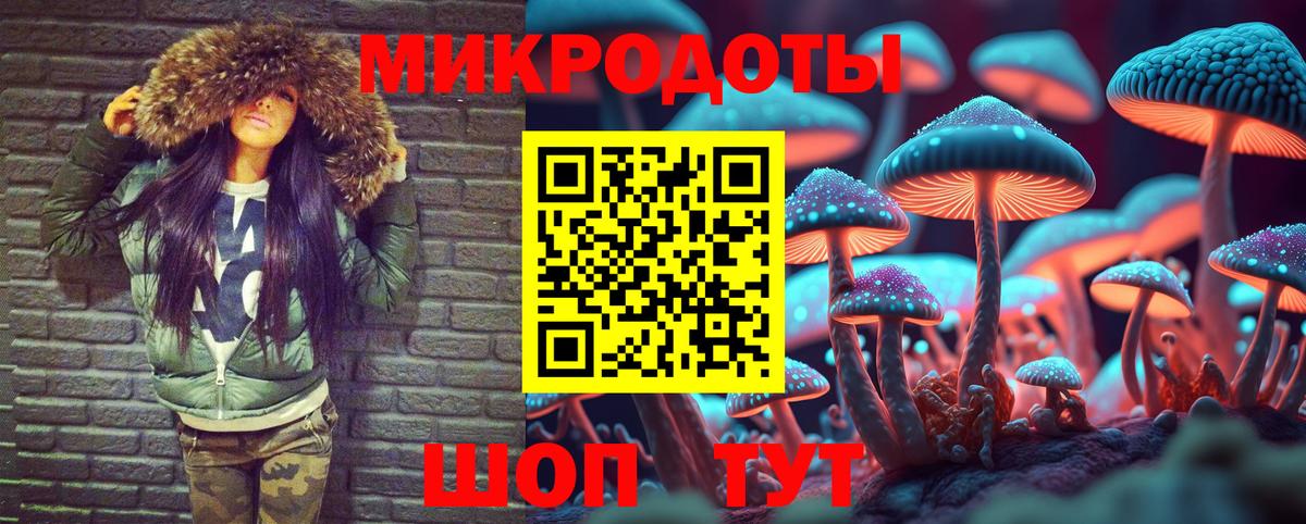 Галлюциногенные грибы Psilocybine cubensis Конаково